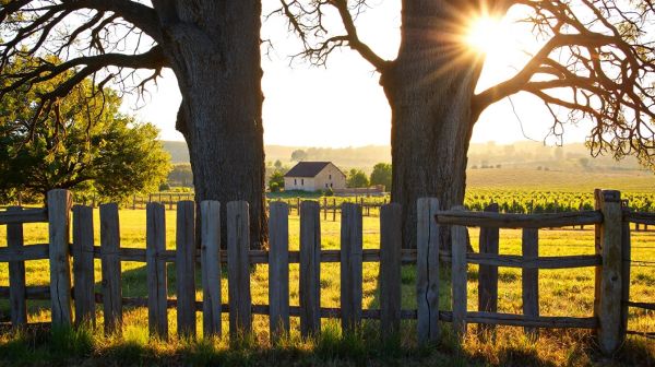 Top 10 avocats en droit rural que vous devez suivre